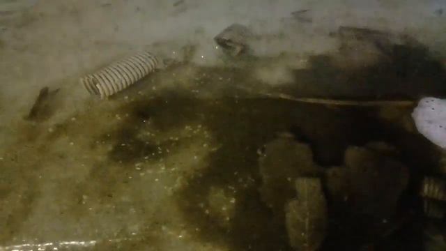 Результат по свежей крапиве прошло 3 дня. смотреть онлайн