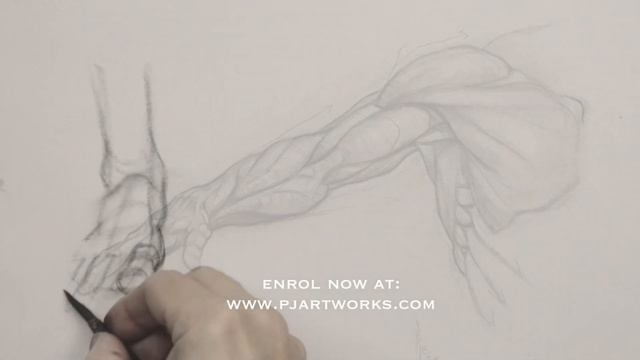 Anatomy of Style Online Figure Drawing Course смотреть онлайн