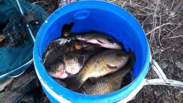 На казанке рыбалка карась лето река Пур смотреть онлайн