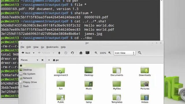 Forensic Tool Validation смотреть онлайн