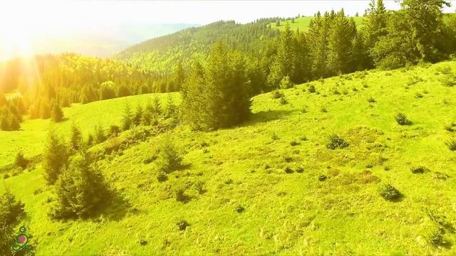 Сбалансируйте свое тело успокаивающей музыкой? Музыка лечит все душевные раны, быстрое расслабление смотреть онлайн