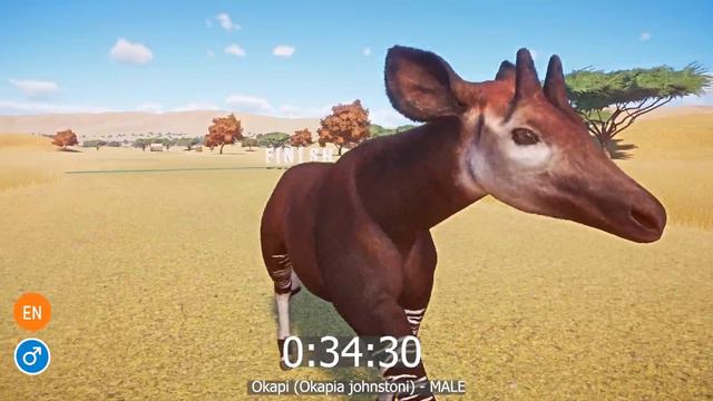 Artiodactyla or Eve Toed Ungulates Category Speed Races in Planet Zoo included Camel, Wildebeest смотреть онлайн