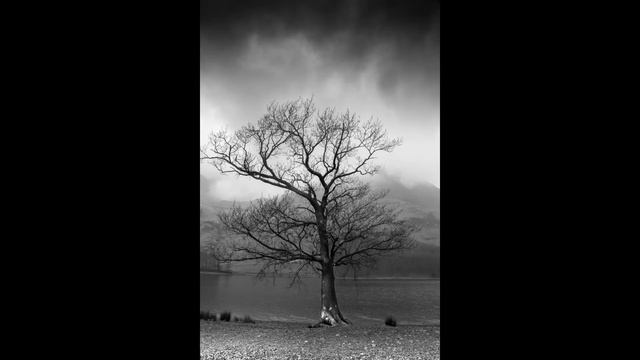 Sad Harp and Violin смотреть онлайн