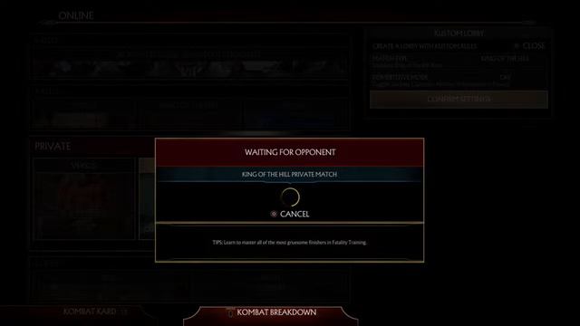 The Return of MK11 смотреть онлайн