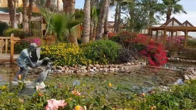 ОБЗОР ОТЕЛЯ САВОЙ ШАРМ ЭЛЬ ШЕЙХ янв 2019 смотреть онлайн