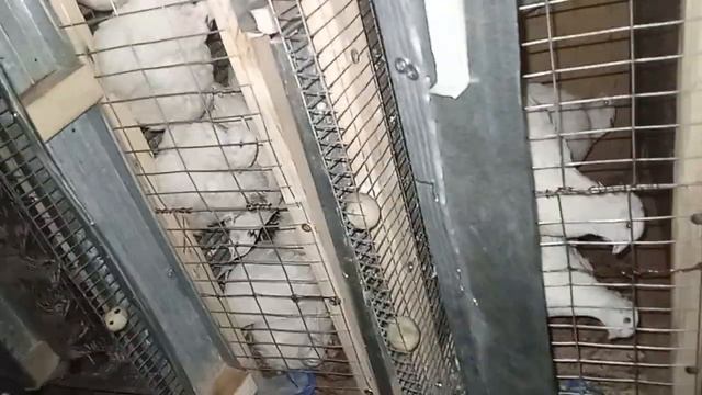 25 декабря 2023 г. смотреть онлайн