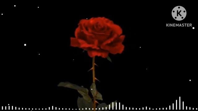 Unutma Mani🥺Alisher Uzoqov😻TEXT☺paderjka Kutib Qolaman 🤩✊