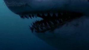 Левиафан Мелвилла - Самый Свирепый Кит в Истории