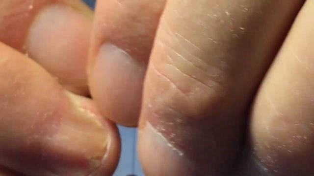 Сухая мушка CDC&Elk Sedge Ak47 Red Tag/ CDC&Elk Sedge Ak47 Red Tag Dry Fly