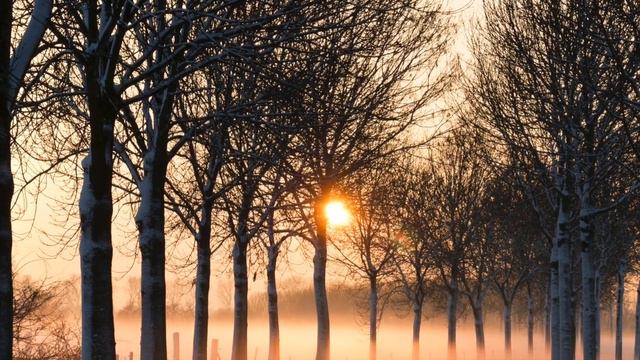 Shakepeare's Sonnet 97 смотреть онлайн