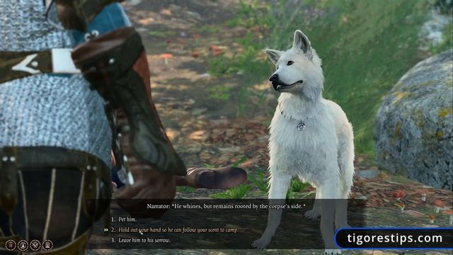 Baldur's Gate 3 Fetch Quest Achievement & Trophy Guide - Play Fetch with Scratch at Camp смотреть онлайн
