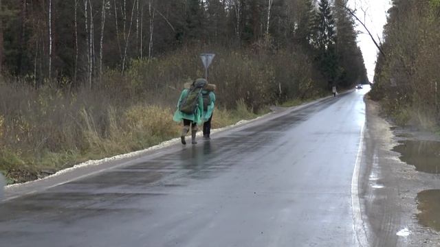 ДВИЖЕНИЕ, 28.10.2018, Подмосковье, лес между поселками Аникеевка и Нахабино. смотреть онлайн