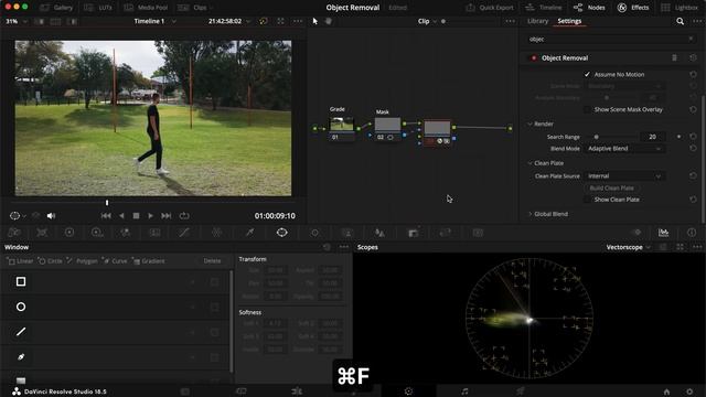 Object Removal Tool Vs. Obstacles // DaVinci Resolve Studio 18