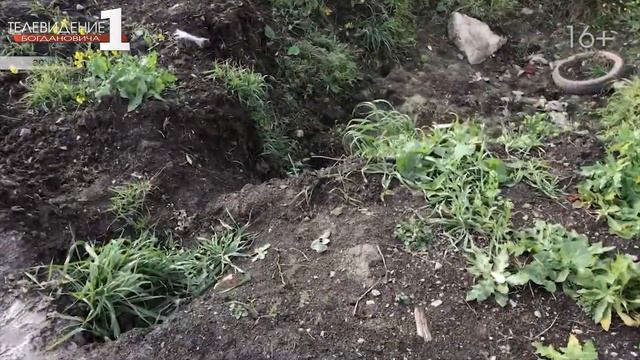Поручение Губернатора о компенсациях за цифровое ТВ смотреть онлайн