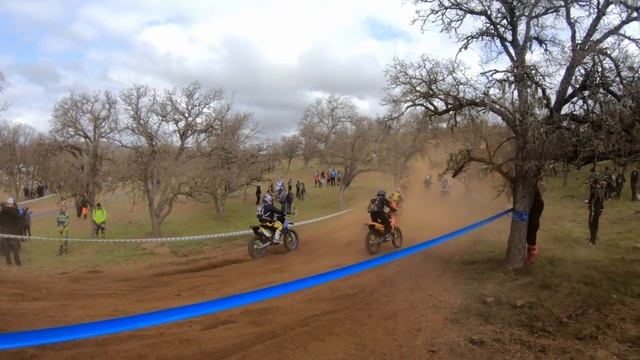 2020 Lazy Bumb D36 Start B Super Senior смотреть онлайн