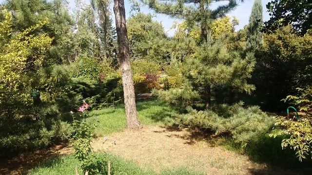 Донецкий Ботанический сад. Часть 1 смотреть онлайн