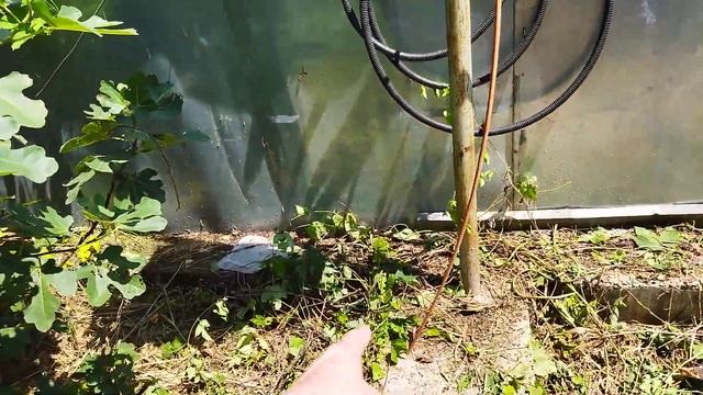 Вырубилось электричество почти на сутки смотреть онлайн