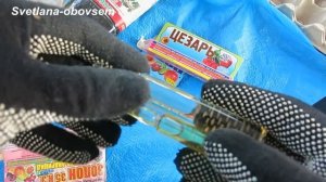 СРОЧНО ОПРЫСКИВАЕМ ЯБЛОНЮ -после цветения от плодожорки    URGENTLY SPRAY JABLOON