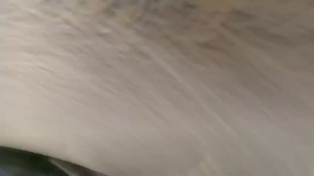 Тестирование Schwinn Monroe ELECTRIC 250 watt и полет IPhone 10XS plus на скорости 30 км в час смотреть онлайн