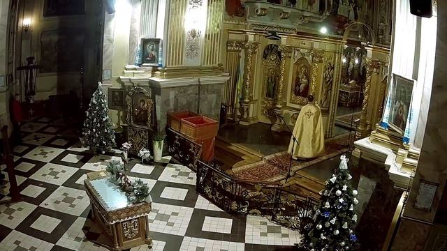 Божественна Літургія. Архикатедральний Собор м. Тернопіль смотреть онлайн
