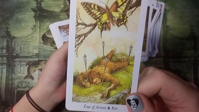 ?Таро Дикого леса/Wild Wood Tarot (реплика АлиЭкспресс). Обзор колоды смотреть онлайн