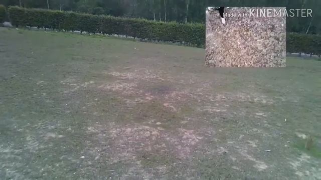 DJI SPARK SG 700. Deaf смотреть онлайн