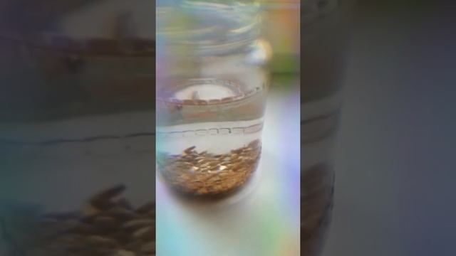 #Ионизатор воды#, чем заменить? Вода живая в домашних условиях, 