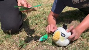 Angry Birds Toons (Plush Version) - Season 1: Ep 43 - «The Butterfly Effect»