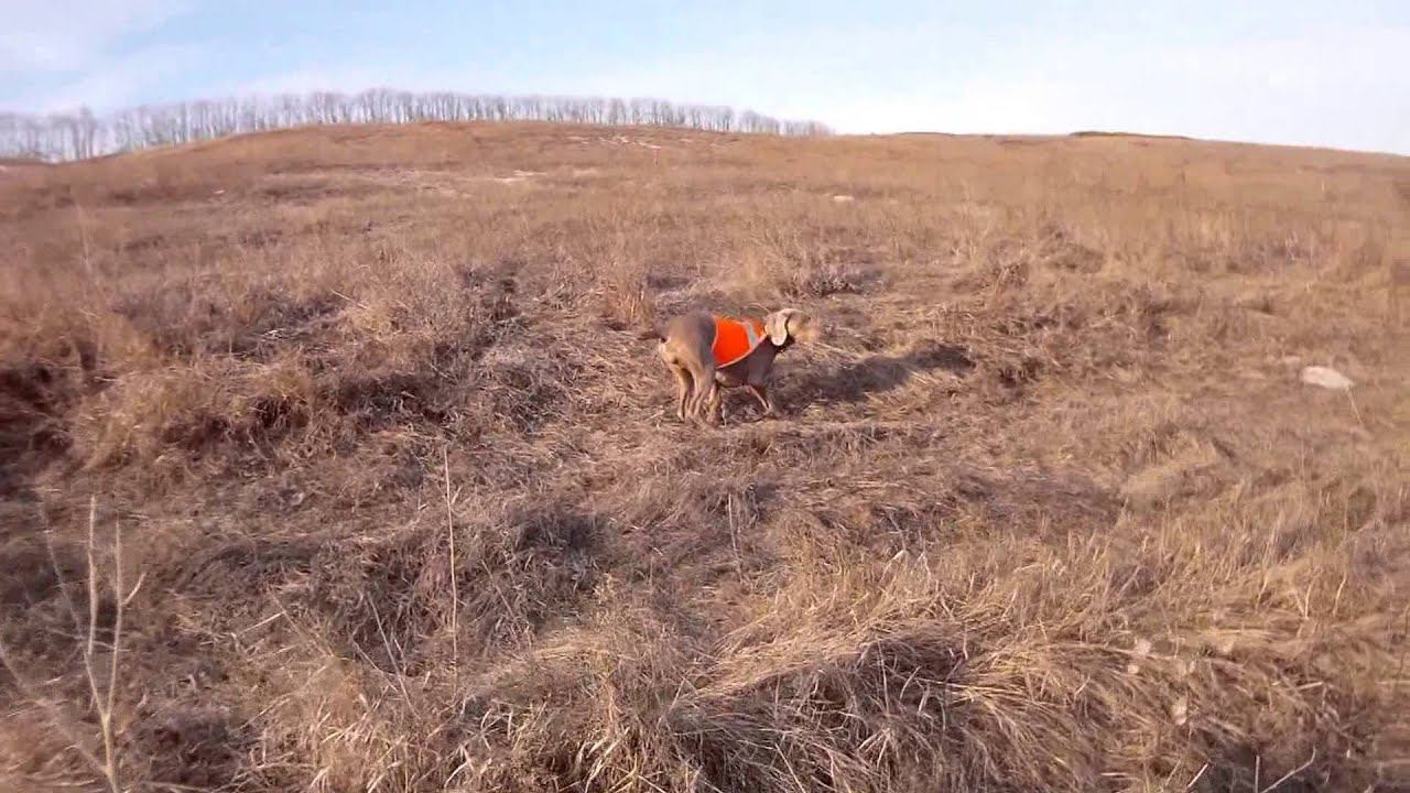 15.03.2015г смотреть онлайн