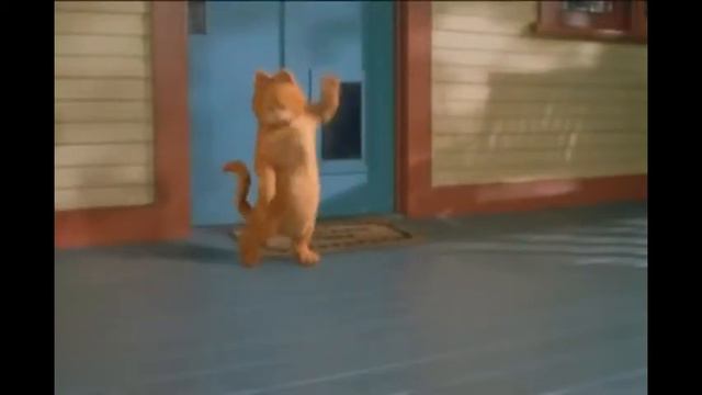 Клип «эй толстый» смотреть онлайн