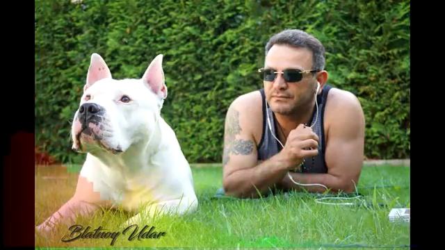 Блатной удар_ Азиз_