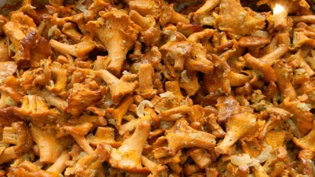 Сборник рецептов