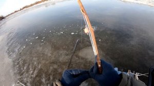 Разведка мест зимней рыбалка на амуре. Снасти на сига. Первый лед 2020-21.