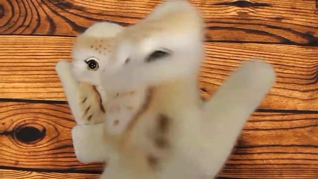 Звероварежки Совы смотреть онлайн