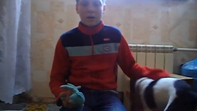 №2 Содержание собак. Игрушки смотреть онлайн