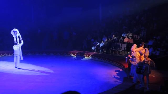 Открытие фестивали "Принцесса цирка" в Саратове (выступление конкурсантов) смотреть онлайн