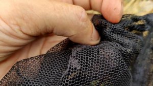 ?Шок! Жалят пчела плотник, Шмель обыкновенный, Сколия Гигантская. Словил анафилактический шок ?