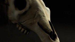 Долговязая Лошадь|Long Horse| Интересные факты