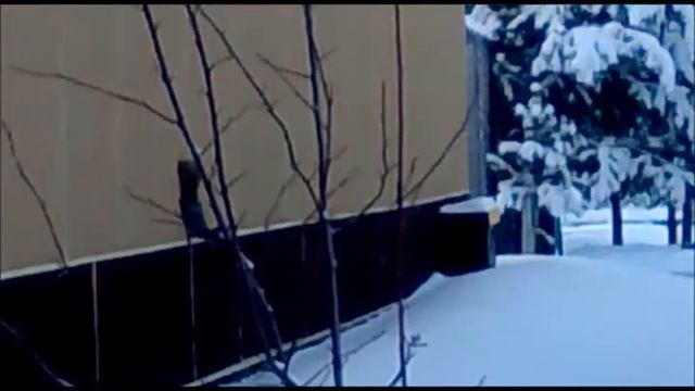 Белка скалолаз смотреть онлайн