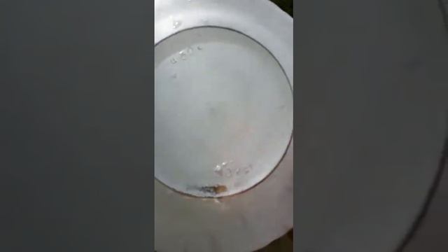 Небьющаяся тарелка смотреть онлайн