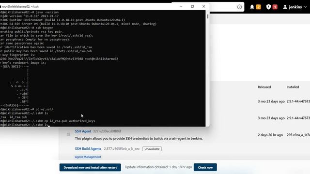 How to Use WSL as Jenkins agent in windows . #hindi #english #mix смотреть онлайн
