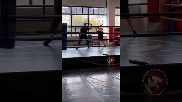 спочан - японское фехтование, фрагмент тренировки смотреть онлайн