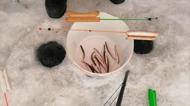 Зимняя рыбалка на корюшку. Ловим пузанка и писуч. Рыбалка на корюшку. Корюшки МАЛО. Ловля на самоду смотреть онлайн
