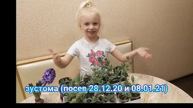 Эустома 🌷 смотреть онлайн