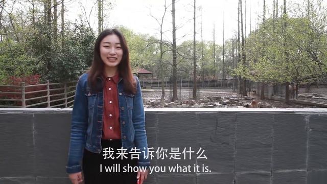 Me at Shanghai Zoo / Xinyu смотреть онлайн