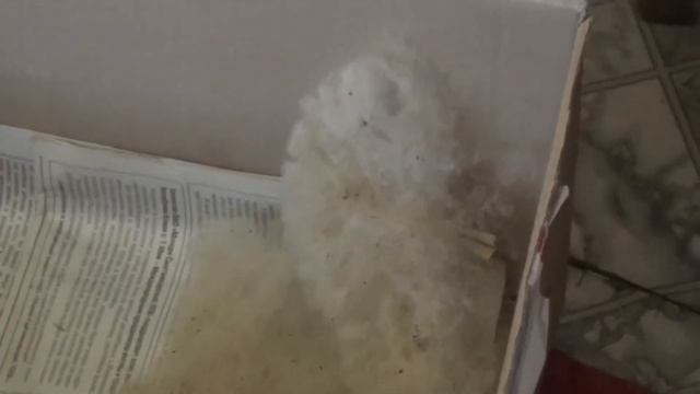 Утро в Степановской 01 смотреть онлайн