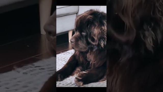 мшв смотреть онлайн