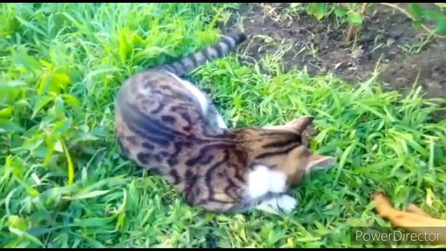 Я люблю тебя до слёз ? смотреть онлайн