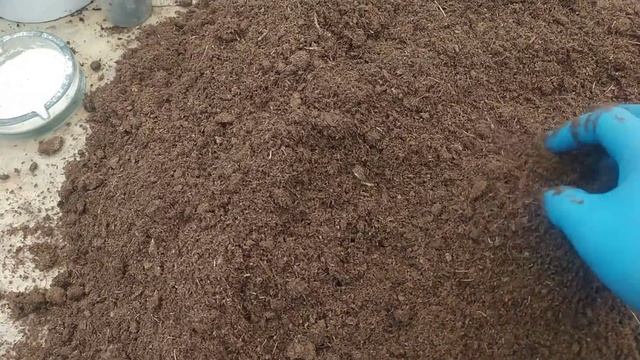 ВСЕ СЕКРЕТЫ, О САМОМ ВЫГОДНОМ ЦВЕТКЕ смотреть онлайн