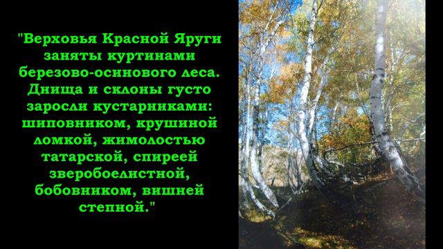Певец степного края смотреть онлайн
